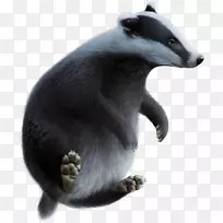 �������ë���룬����-������