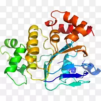 �����߶����������-������