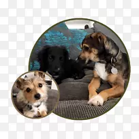 Ȯ��С����Ȯ����-С��-������