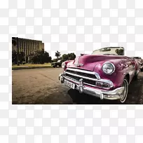 ���ͽγ�����ʽ�γ��������ͽγ���ѩ�����γ�-������