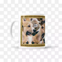 ���ﹷ��Ȯ����ëƤ���ȵ괫��-������