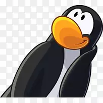 企鹅俱乐部博客-企鹅-空若网 企鹅俱乐部博客-企鹅-空若网