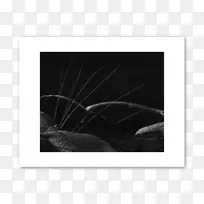 ����ɫ��ɫm-��ɽ��-������