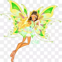 仙女昆虫开花植物-空若网 仙女昆虫开花植物-空若网