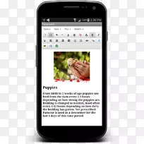 °²×¿ÆÁÄ»½ØÍ¼google±ÈÈütxt-¿ÕÈôÍø °²×¿ÆÁÄ»½ØÍ¼google±ÈÈütxt-¿ÕÈôÍø
