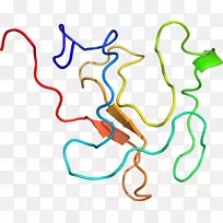 �ߵ������������-������