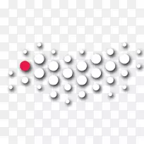 ֱ�ߵ���-������