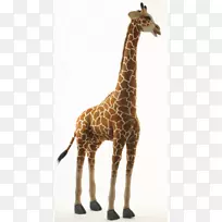 ����¹������䶯�����Ұ�����ﳤ��¹-������