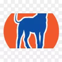 ����־��-������-������