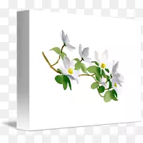 花卉设计水彩画艺术静物画-空若网 花卉设计水彩画艺术静物画-空若网