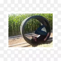 �������-������