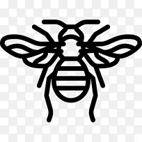 昆虫电脑图标,害虫,大黄蜂,剪贴画.昆虫-空若网 昆虫电脑图标,害虫,大黄蜂,剪贴画.昆虫-空若网