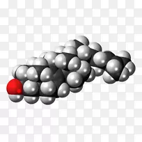 普通蒲公英-空若网 普通蒲公英-空若网