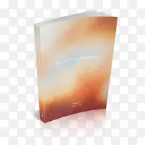 Ʒ�������ֽ����-������