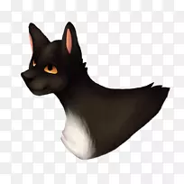 胡须狗繁殖猫鼻子猫-空若网 胡须狗繁殖猫鼻子猫-空若网