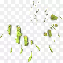 花瓣叶植物茎开花植物字体叶-空若网 花瓣叶植物茎开花植物字体叶-空若网