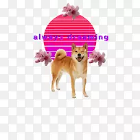 犬种志巴犬伴犬蒸气波狗-空若网 犬种志巴犬伴犬蒸气波狗-空若网