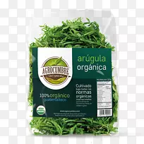 Ҷ��ֲ��ݱ���ȻʳƷ.����ú-������