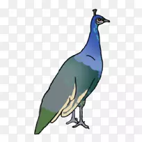 鸟羽毛夹艺术-空若网 鸟羽毛夹艺术-空若网