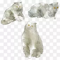 猫须水彩画艺术插图水彩画猫-空若网 猫须水彩画艺术插图水彩画猫-空若网