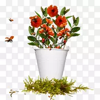 »¨»ÜÉè¼Æ-¿ÕÈôÍø »¨»ÜÉè¼Æ-¿ÕÈôÍø