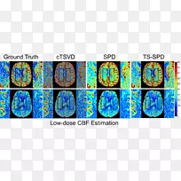 生物医学字体-cbf-空若网 生物医学字体-cbf-空若网