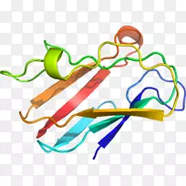 �ߵ������-��-������