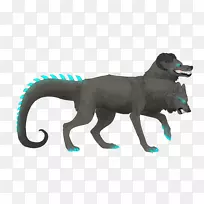 猫科鼻子野生动物-猫-空若网 猫科鼻子野生动物-猫-空若网