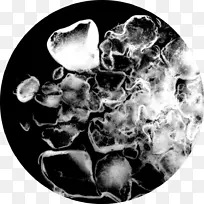 ¿§·ÈÌüË®¹µÒÕÊõͼƬչÀÀ-ÈÞë-¿ÕÈôÍø ¿§·ÈÌüË®¹µÒÕÊõͼƬչÀÀ-ÈÞë-¿ÕÈôÍø