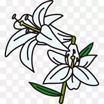 花卉设计线艺术剪贴画设计-空若网 花卉设计线艺术剪贴画设计-空若网