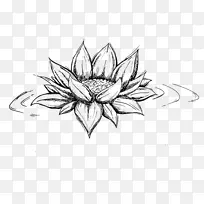 线条艺术对称素描-花-空若网 线条艺术对称素描-花-空若网