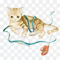 小猫须水彩:水彩画花水彩画猫-空若网 小猫须水彩:水彩画花水彩画猫-空若网