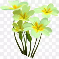 Çл¨Ë®²Ê»-»¨-¿ÕÈôÍø Çл¨Ë®²Ê»-»¨-¿ÕÈôÍø