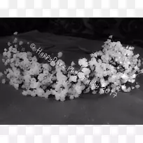 ͷ�ΰ�ɫ�鱦����-������