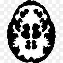 头骨白色剪贴画-头骨-空若网 头骨白色剪贴画-头骨-空若网