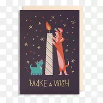 �ؿ�������ף��-����ף��-������