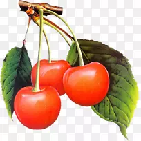 动画鸟博客-动画-空若网 动画鸟博客-动画-空若网