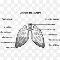 手指技术点技术-空若网 手指技术点技术-空若网