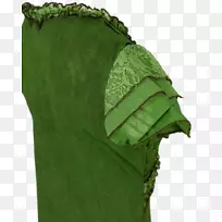 叶-空若网 叶-空若网