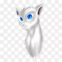 胡须猫,家用短毛猫鼻子-小猫-空若网 胡须猫,家用短毛猫鼻子-小猫-空若网