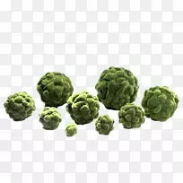 十字花科蔬菜芥末超级食品-空若网 十字花科蔬菜芥末超级食品-空若网