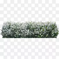 ���ط�װ��PostScript-������