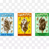 昆虫蟋蟀粉食物棒棒糖-昆虫-空若网 昆虫蟋蟀粉食物棒棒糖-昆虫-空若网