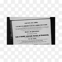 品牌字体-空若网 品牌字体-空若网