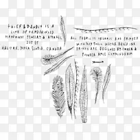 手指羽毛纸线艺术.羽毛-空若网 手指羽毛纸线艺术.羽毛-空若网