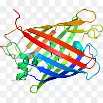 线点生物剪贴画线-空若网 线点生物剪贴画线-空若网