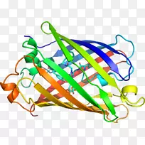 �ߵ������������-������