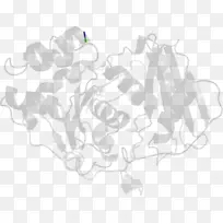白色图案设计-空若网 白色图案设计-空若网