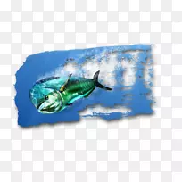 �������ﶯ������-����ˮ��-������