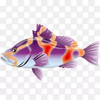 Adobe插画-彩色鱼-空若网 Adobe插画-彩色鱼-空若网